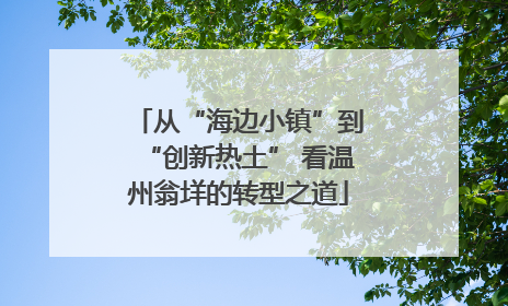 从“海边小镇”到“创新热土” 看温州翁垟的转型之道