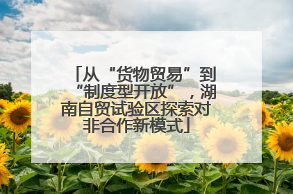 从“货物贸易”到“制度型开放”，湖南自贸试验区探索对非合作新模式