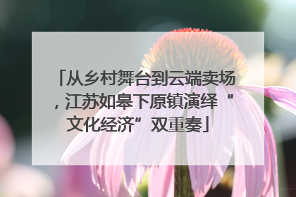 从乡村舞台到云端卖场，江苏如皋下原镇演绎“文化经济”双重奏