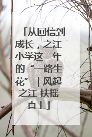 从回信到成长，之江小学这一年的“一路生花”｜风起之江 扶摇直上