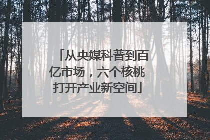 从央媒科普到百亿市场，六个核桃打开产业新空间