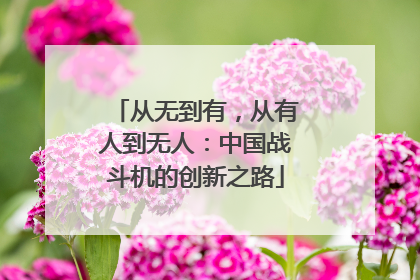 从无到有，从有人到无人：中国战斗机的创新之路