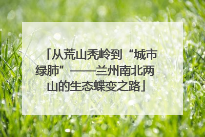 从荒山秃岭到“城市绿肺”——兰州南北两山的生态蝶变之路