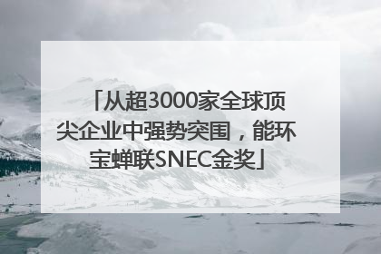 从超3000家全球顶尖企业中强势突围，能环宝蝉联SNEC金奖