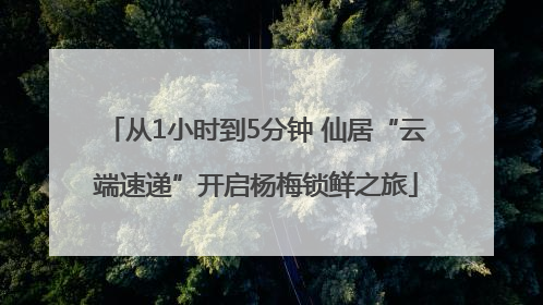 从1小时到5分钟 仙居“云端速递”开启杨梅锁鲜之旅