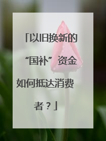 以旧换新的“国补”资金如何抵达消费者？