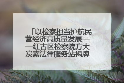 以检察担当护航民营经济高质量发展——红古区检察院方大炭素法律服务站揭牌彰显法治护航深度