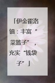 伊金霍洛镇：丰富“菜篮子”，充实“钱袋子”