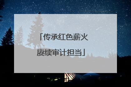 传承红色薪火 赓续审计担当