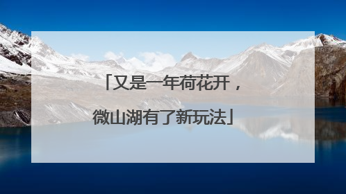 又是一年荷花开，微山湖有了新玩法
