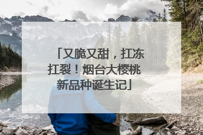 又脆又甜，扛冻扛裂！烟台大樱桃新品种诞生记