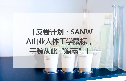 反卷计划：SANWA山业人体工学鼠标，手腕从此“躺赢”