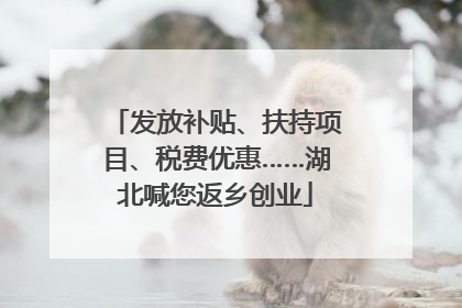 发放补贴、扶持项目、税费优惠……湖北喊您返乡创业