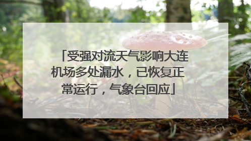 受强对流天气影响大连机场多处漏水，已恢复正常运行，气象台回应