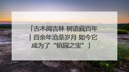 古木阅吉林 树语藏百年｜百余年沧桑岁月 如今它成为了“镇园之宝”