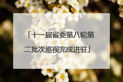 十一届省委第八轮第二批次巡视完成进驻
