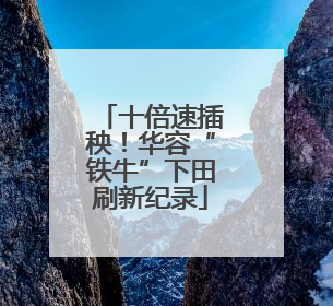 十倍速插秧！华容“铁牛”下田刷新纪录