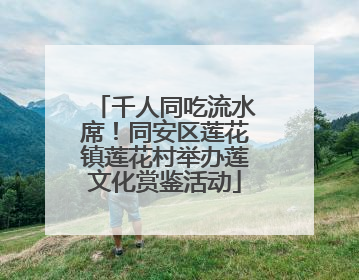 千人同吃流水席！同安区莲花镇莲花村举办莲文化赏鉴活动