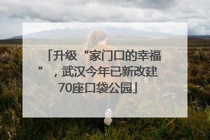 升级“家门口的幸福”，武汉今年已新改建70座口袋公园