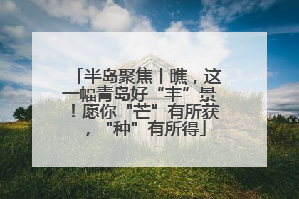 半岛聚焦丨瞧，这一幅青岛好“丰”景！愿你“芒”有所获，“种”有所得