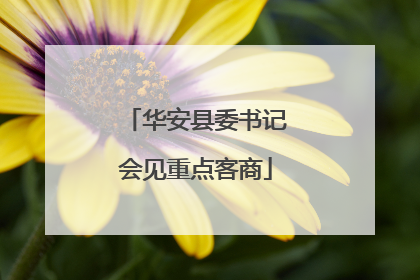 华安县委书记会见重点客商