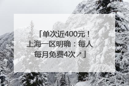 单次近400元！上海一区明确：每人每月免费4次↗