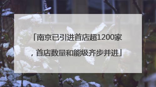 南京已引进首店超1200家，首店数量和能级齐步并进