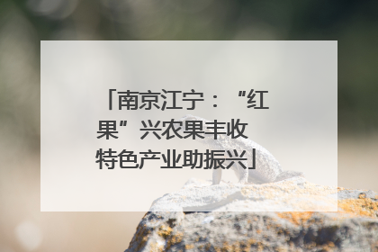 南京江宁：“红果”兴农果丰收 特色产业助振兴