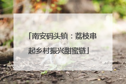 南安码头镇：荔枝串起乡村振兴甜蜜链
