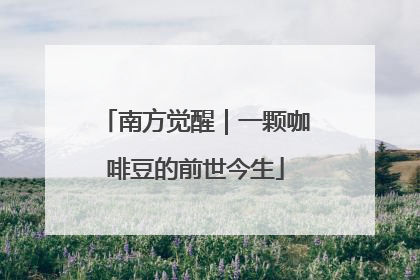南方觉醒｜一颗咖啡豆的前世今生