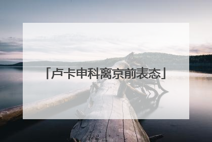 卢卡申科离京前表态