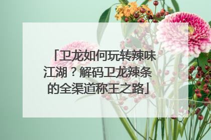 卫龙如何玩转辣味江湖？解码卫龙辣条的全渠道称王之路