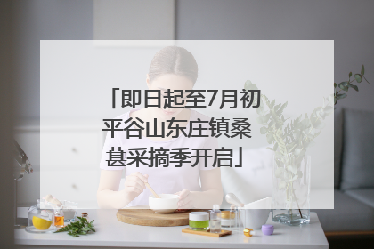 即日起至7月初 平谷山东庄镇桑葚采摘季开启