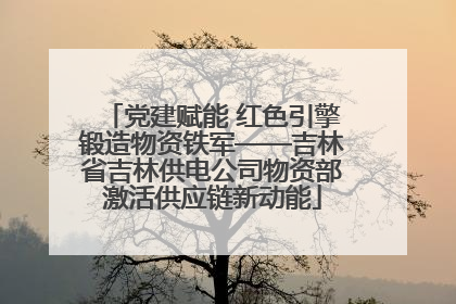 党建赋能 红色引擎锻造物资铁军——吉林省吉林供电公司物资部激活供应链新动能