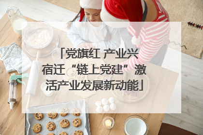 党旗红 产业兴 宿迁“链上党建”激活产业发展新动能