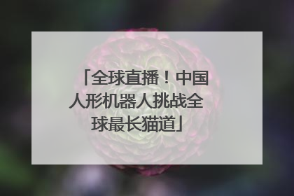全球直播！中国人形机器人挑战全球最长猫道