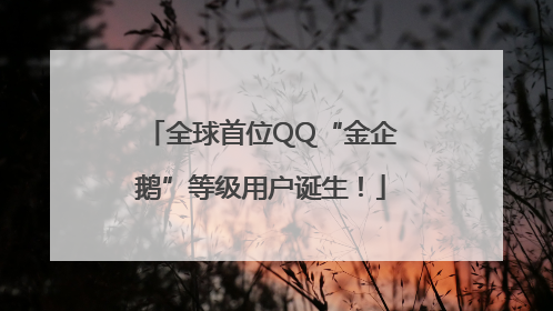 全球首位QQ“金企鹅”等级用户诞生！