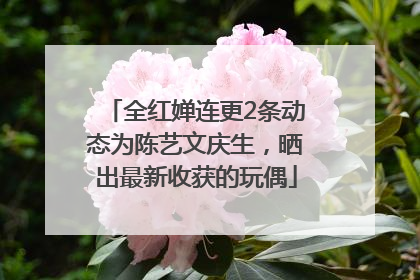 全红婵连更2条动态为陈艺文庆生，晒出最新收获的玩偶