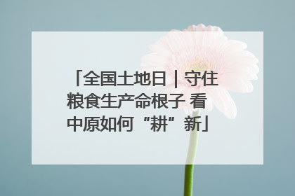 全国土地日｜守住粮食生产命根子 看中原如何“耕”新