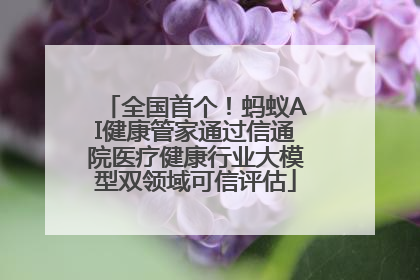 全国首个！蚂蚁AI健康管家通过信通院医疗健康行业大模型双领域可信评估