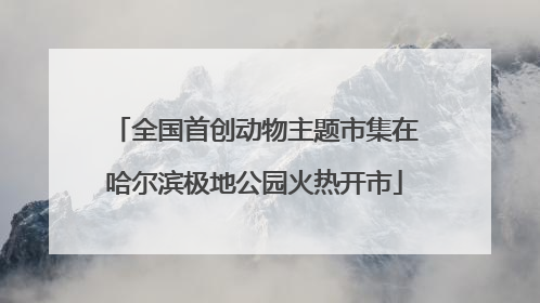 全国首创动物主题市集在哈尔滨极地公园火热开市