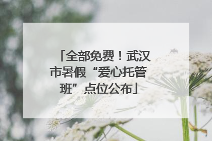 全部免费！武汉市暑假“爱心托管班”点位公布