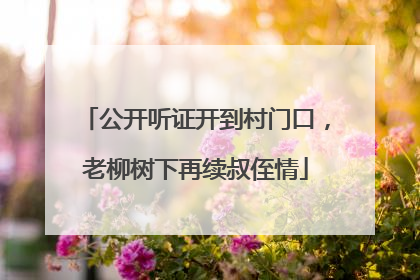 公开听证开到村门口，老柳树下再续叔侄情