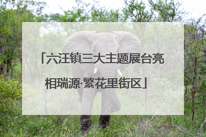 六汪镇三大主题展台亮相瑞源·繁花里街区