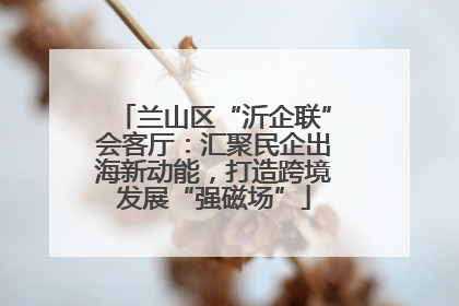 兰山区“沂企联”会客厅：汇聚民企出海新动能，打造跨境发展“强磁场”