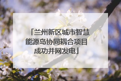兰州新区城市智慧能源岛协同耦合项目成功并网发电