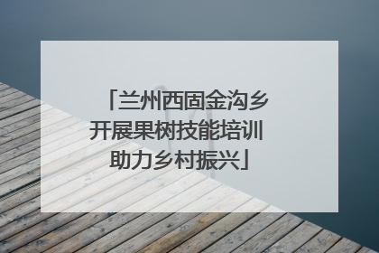 兰州西固金沟乡开展果树技能培训 助力乡村振兴