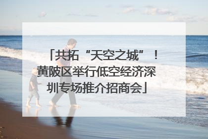 共拓“天空之城”！黄陂区举行低空经济深圳专场推介招商会