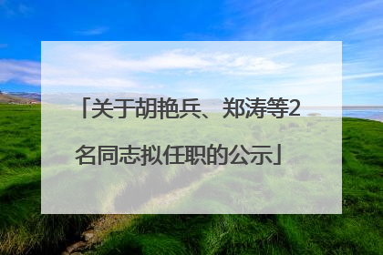 关于胡艳兵、郑涛等2名同志拟任职的公示