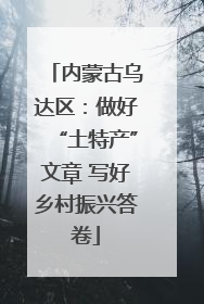 内蒙古乌达区：做好“土特产”文章 写好乡村振兴答卷
